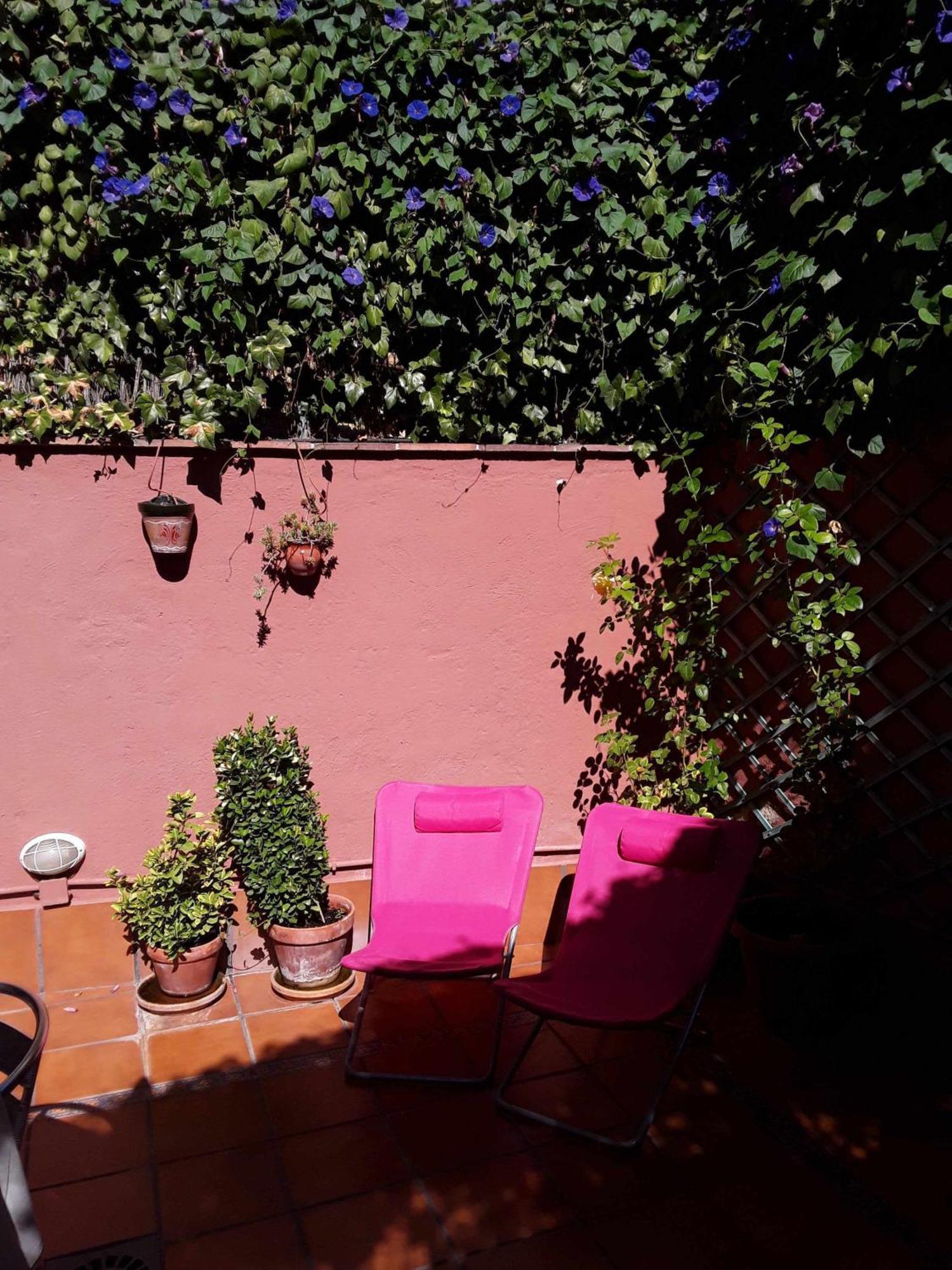 Viviendas Turísticas Arrayanes En El Centro Y Con Encanto *